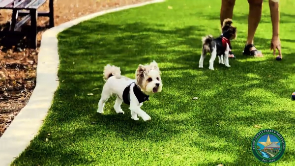 Coyote Dog Park